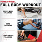 Lifeline Fitness Power Wheel Full Body Workout Ab Roller, Functional Full Body Ab Roller Wheel, Upper/Lower Body Workout, Home Workout Equipment with Foot Straps - Your Performance Shop