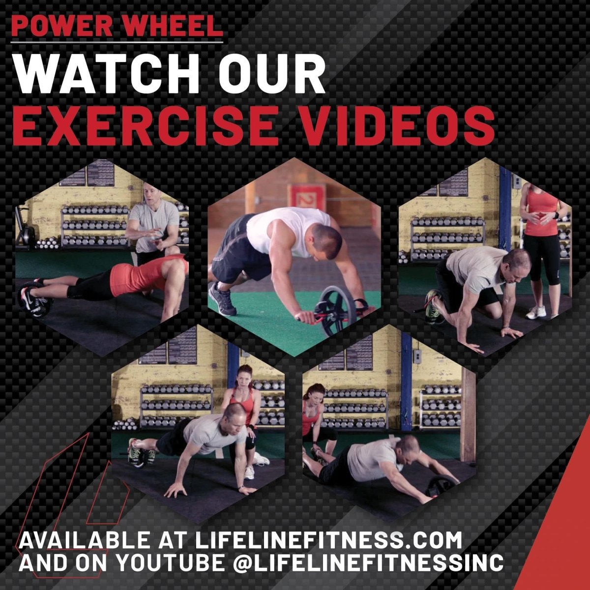 Lifeline Fitness Power Wheel Full Body Workout Ab Roller, Functional Full Body Ab Roller Wheel, Upper/Lower Body Workout, Home Workout Equipment with Foot Straps - Your Performance Shop